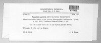 Puccinia caricis image